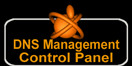 DNS Management Control Panel